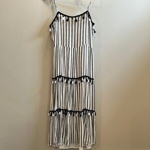 Vici Striped Black and White Dress